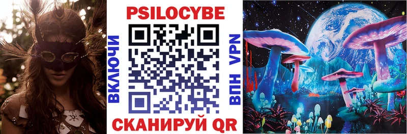 mega как зайти  Ставрополь  Псилоцибиновые грибы Psilocybine cubensis 